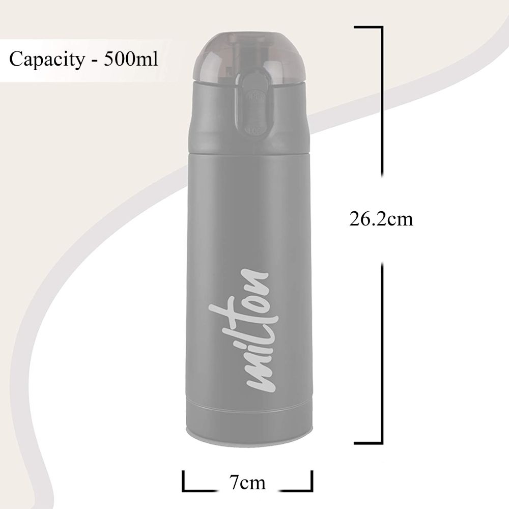 Milton New Crown-600 Thermosteel Hot or Cold Water Bottle, 500 ML, Silver