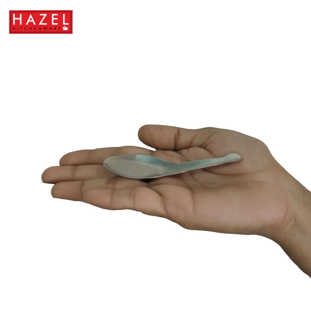 HAZEL Stainless Steel Small Masala Spoon | Mini Spoon Perfect for Spices and Condiments, Set of 12