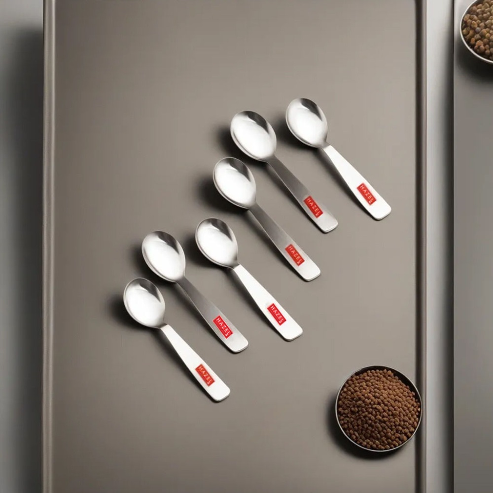 HAZEL Stainless Steel Spoon for Spice Box | Small Mini Spoon for All Tea Coffee Sugar & Spices Set, Set of 6