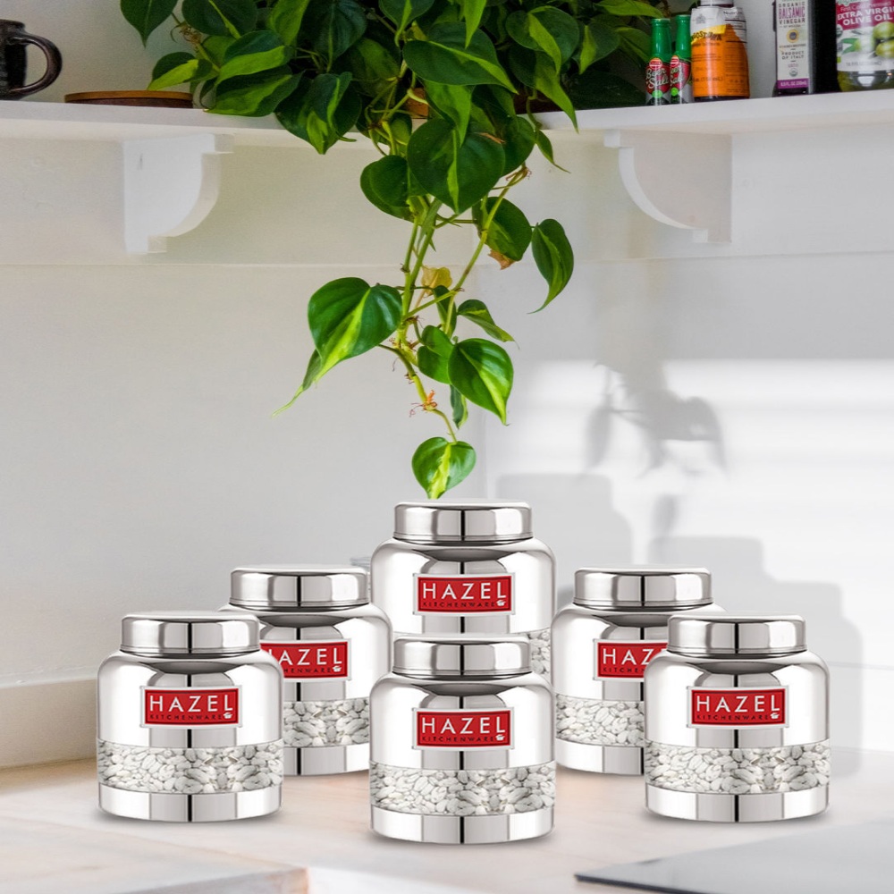 HAZEL Stainless Steel Container Set | Barni Shape See Through Container with Glossy Finish  |Transparent Multipurpose Storage Box for Kitchen, 350 ML, Set of 12