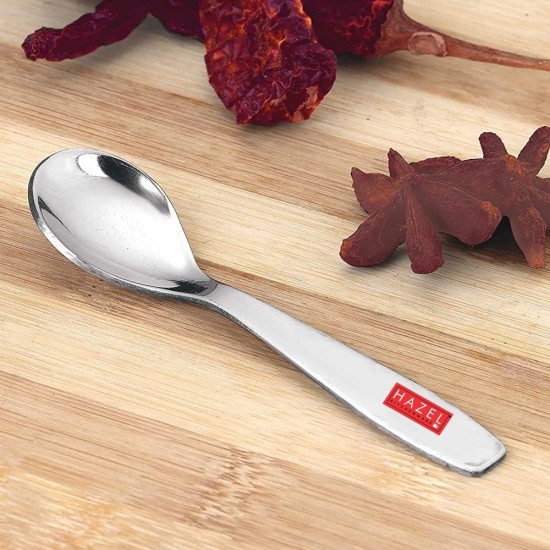 HAZEL Stainless Steel Spoon for Spice Box | Small Mini Spoon for All Tea Coffee Sugar & Spices Set, Set of 1